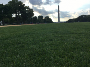 Questa foto è stata scattata durante una pausa sul prato del National Mall. Il Washington Monument sullo sfondo è chiuso a tempo indeterminato per un guasto all'ascensore.